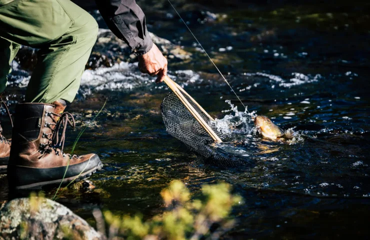 fisher2-blog-pic6